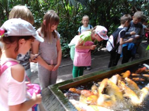 IMG 20180606 115327 1