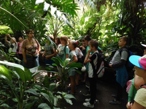 IMG 20180606 115726 1