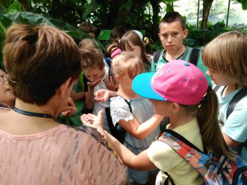 IMG 20180606 121845 1