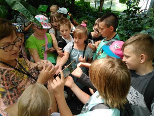 IMG 20180606 121933 1