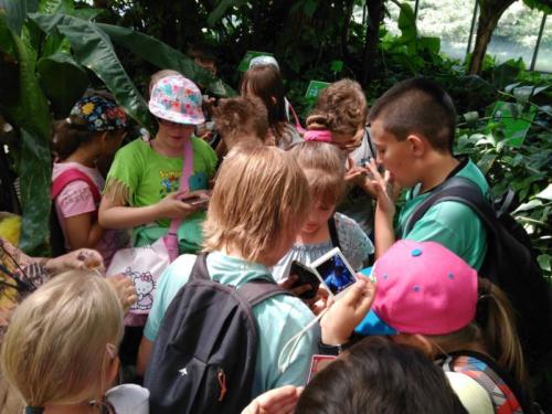 IMG 20180606 122002 1