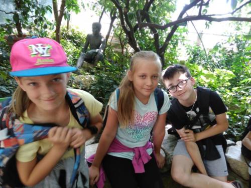 IMG 20180606 122907 1