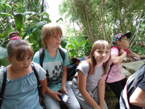 IMG 20180606 122922 1