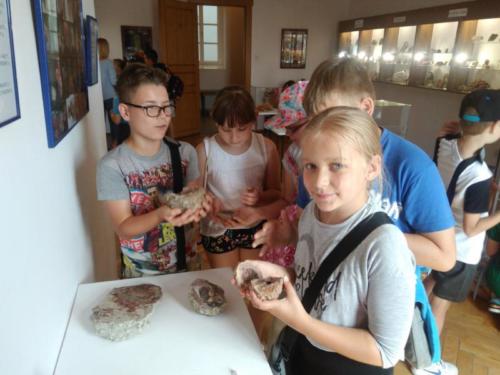 IMG 20180615 102812 1