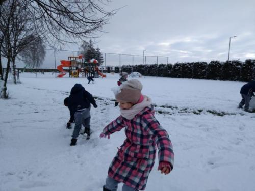 IMG 20180118 093136423