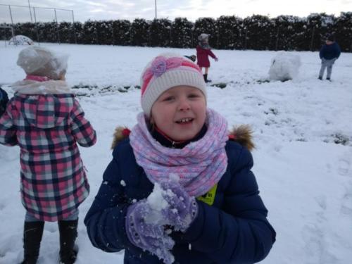 IMG 20180118 093141786