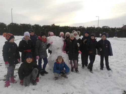 IMG 20180118 115039 2