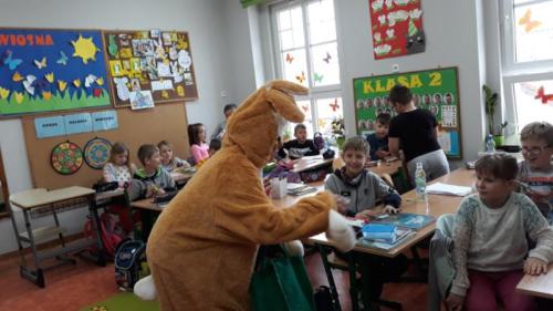 56795538 2147775592179104 1957487360115474432 n