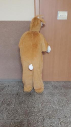 56879435 283677449191897 3678536341089419264 n