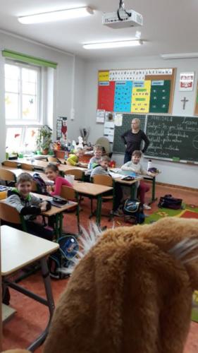 56907801 363892784333692 845551139276455936 n