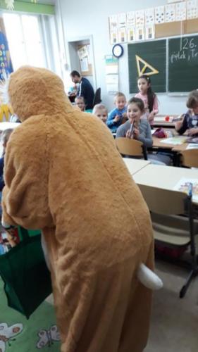 56931836 580576175777202 7297040343734681600 n