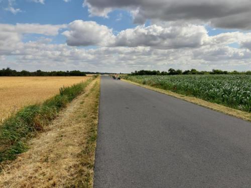 20190704 095846 (Copy)