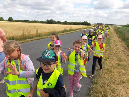 20190704 095902 (Copy)