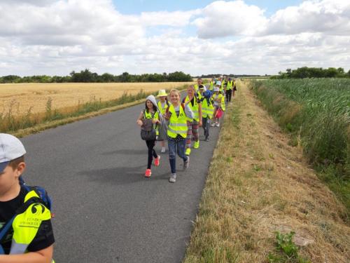 20190704 095906 (Copy)