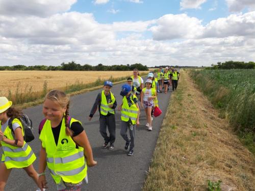 20190704 095909 (Copy)