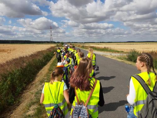 20190704 100349 (Copy)