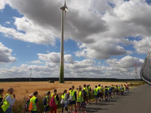 20190704 100359 (Copy)