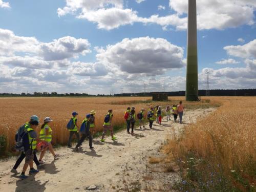 20190704 100432 (Copy)