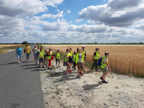 20190704 100435 (Copy)