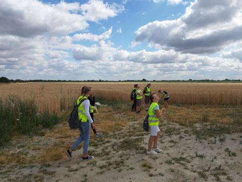 20190704 100514 (Copy)