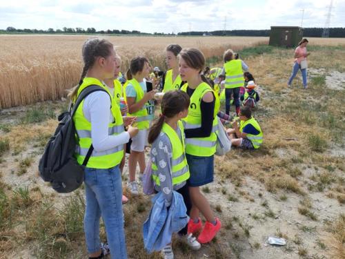 20190704 100803 (Copy)