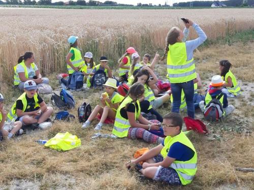 20190704 100907 (Copy)