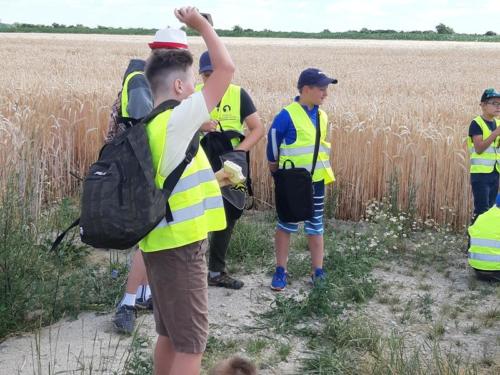 20190704 100913 (Copy)