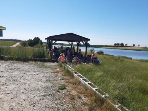 20190624 103432 (Copy)