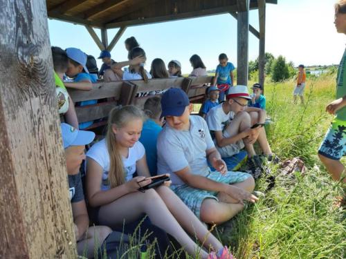 20190624 112443 (Copy)