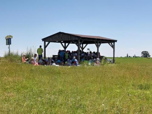 20190624 113825 (Copy)