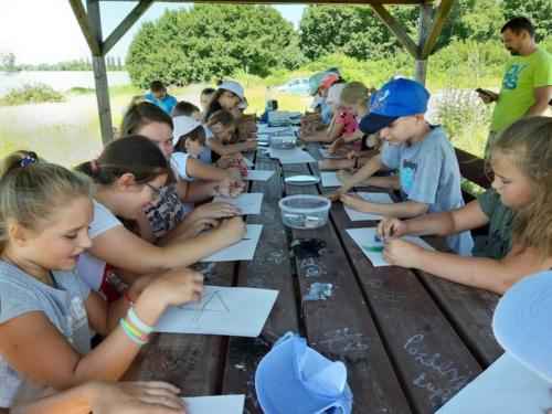 20190624 113900 (Copy)