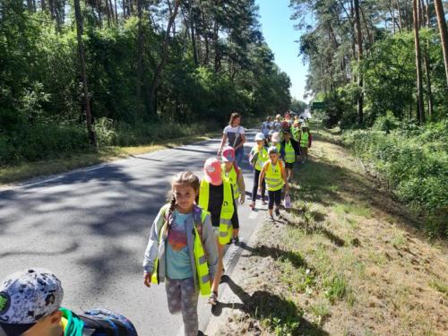 20190703 095359 (Copy)