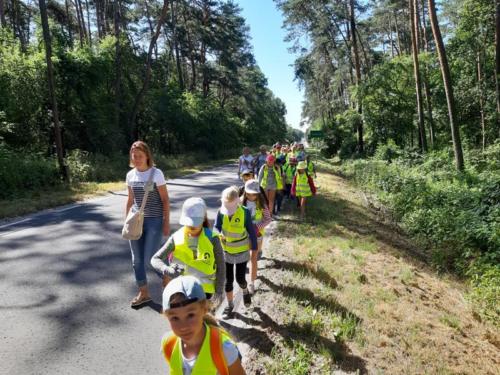 20190703 095402 (Copy)