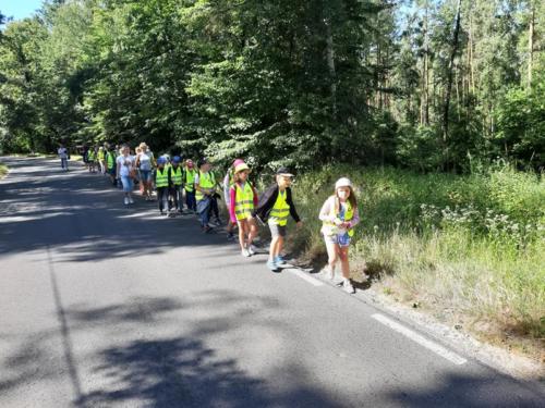 20190703 100346 (Copy)