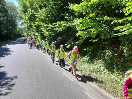 20190703 104717 (Copy)