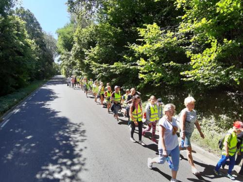 20190703 104726 (Copy)