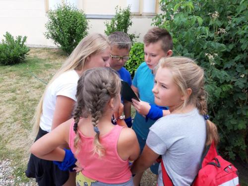 20190703 125235 (Copy)