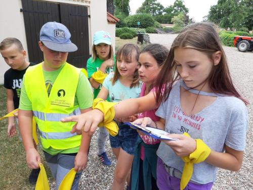 20190703 125243 (Copy)