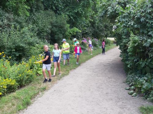 20190703 125347 (Copy)