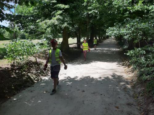 20190703 130038 (Copy)