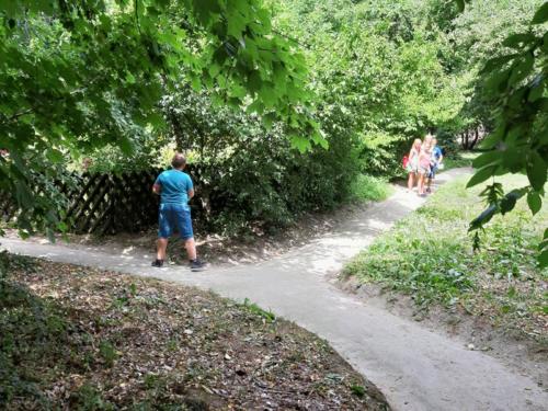 20190703 130731 (Copy)