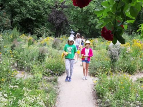 20190703 130919 (Copy)