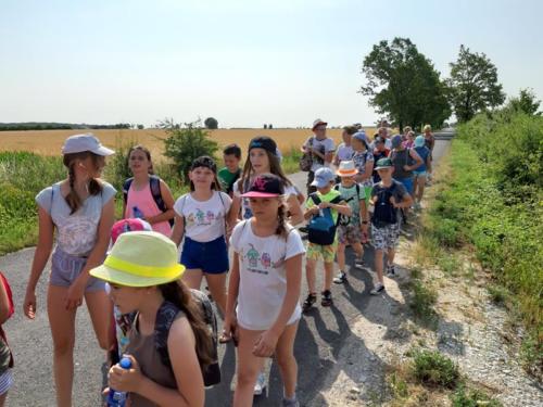 20190701 094050 (Copy)