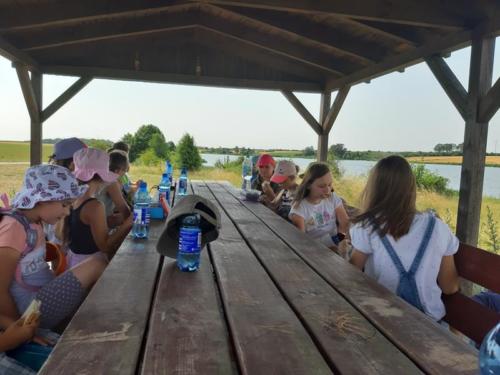 20190701 095716 (Copy)