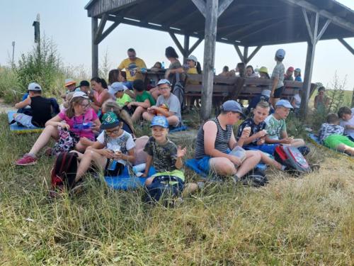 20190701 095738 (Copy)