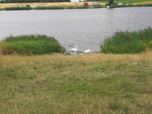 20190701 102107 (Copy)