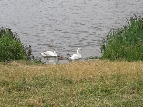 20190701 102112 (Copy)