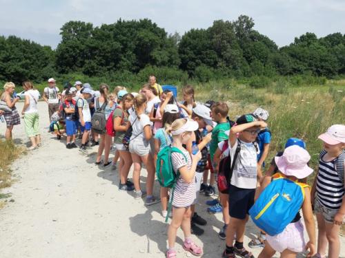 20190701 105939 (Copy)