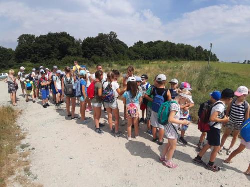 20190701 105959 (Copy)