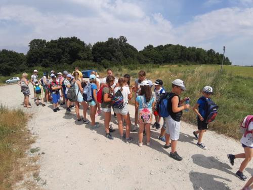 20190701 110001 (Copy)